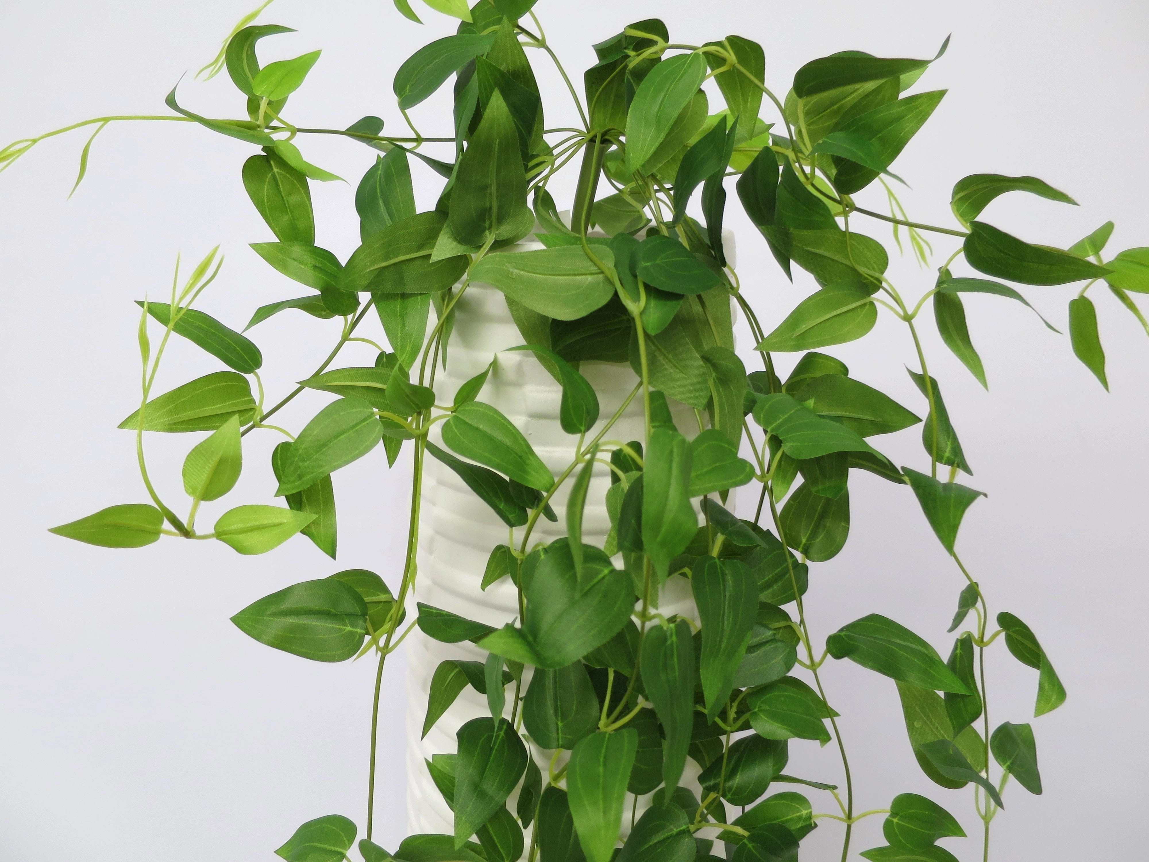 HP0056 Hanging Evergreen 90cm Green