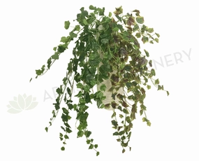 HP0058 Hanging Sycamore 90cm Real Touch 2 Styles summer vegetable seed  