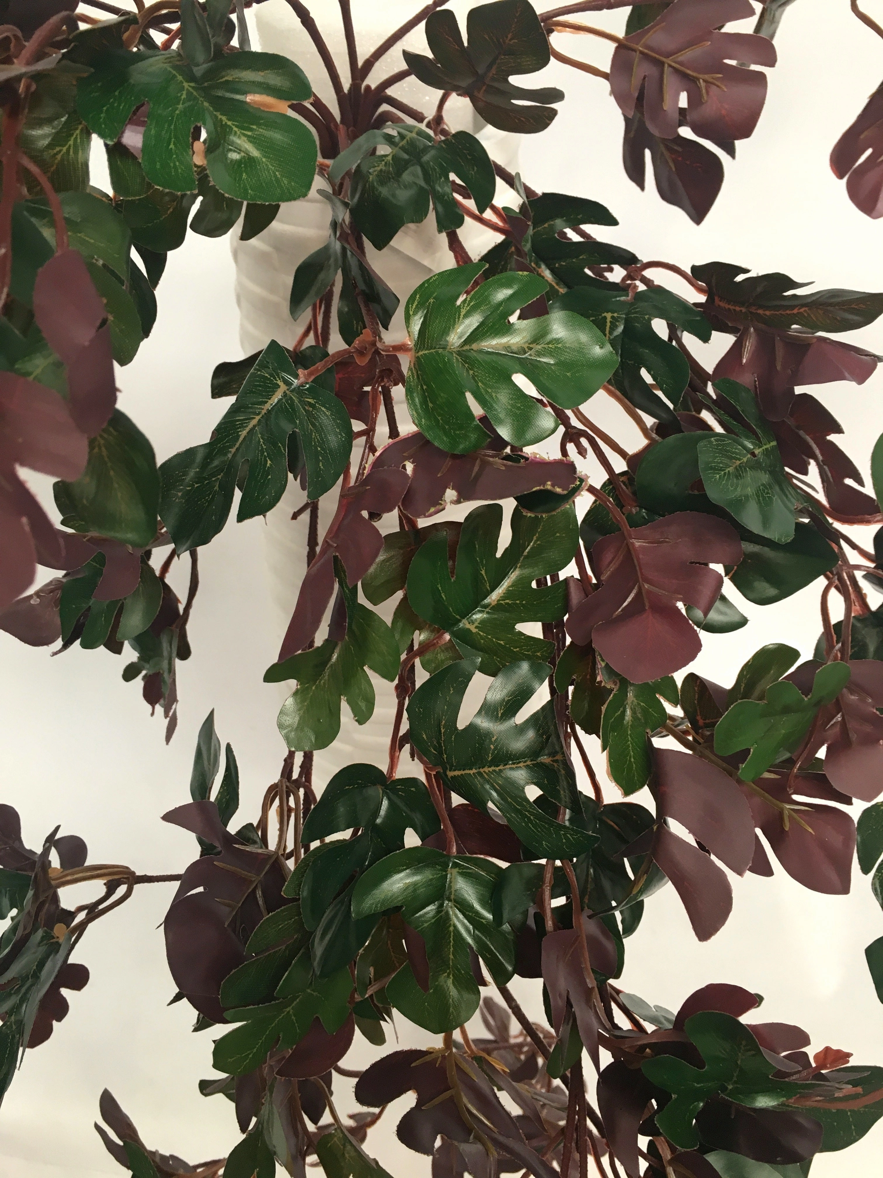 HP0060 Hanging Mini Monstera 80cm Purple Back