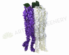 HP0061 Hanging Wisteria Bunch 115cm White / Purple summer vegetable seed  