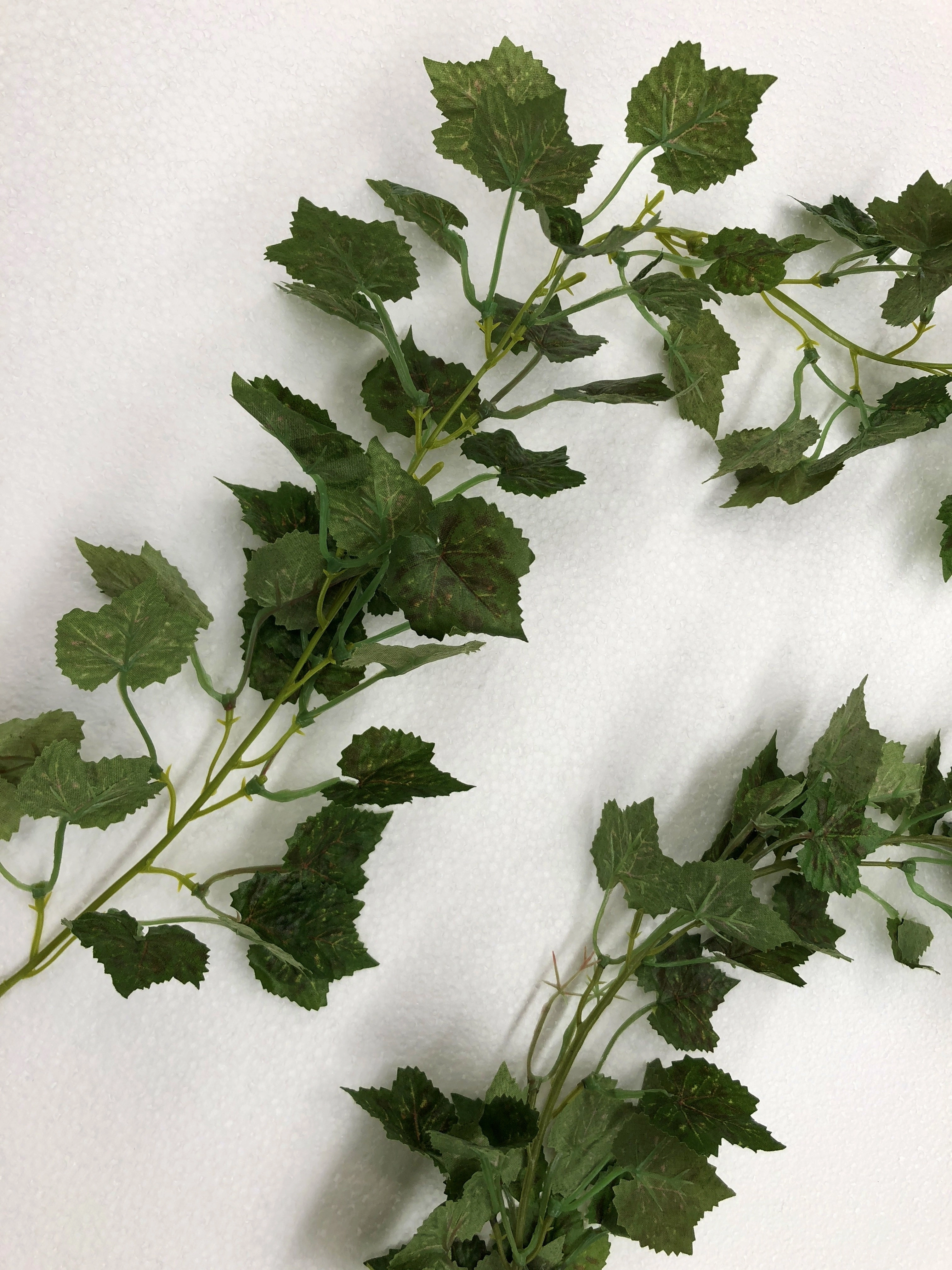 HP0062 Little Grape Vine 190cm Green