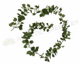 HP0062 Little Grape Vine 190cm Green summer vegetable seed  