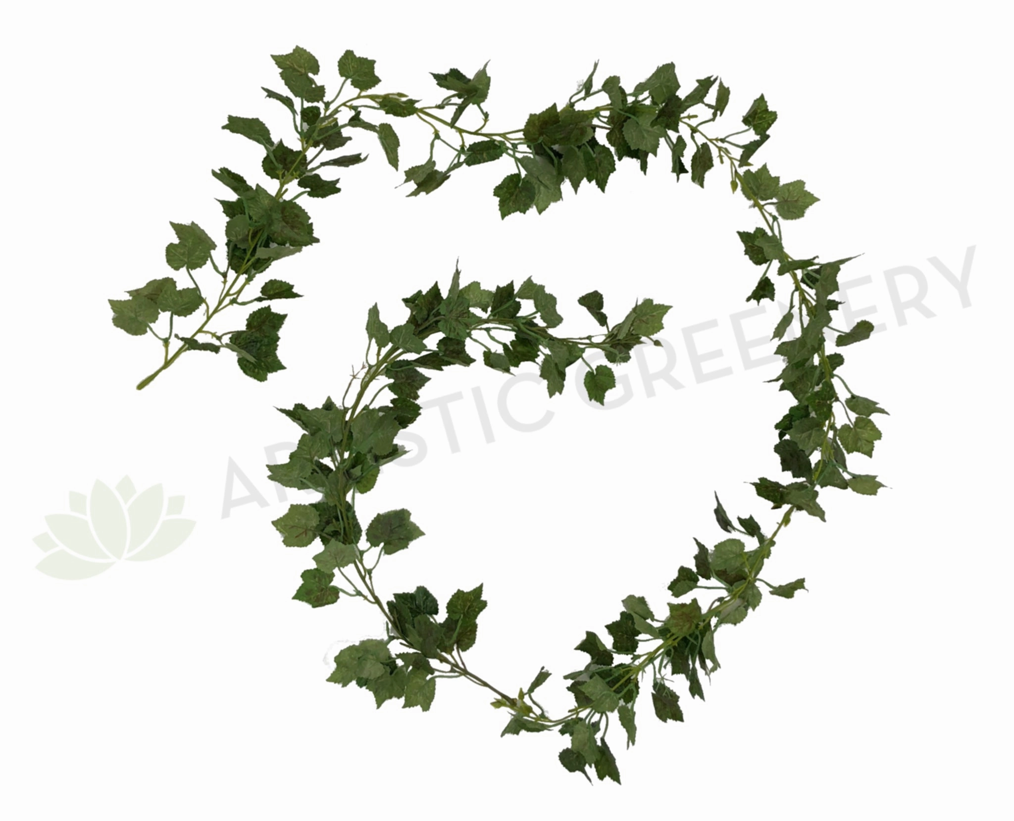 HP0062 Little Grape Vine 190cm Green summer vegetable seed  