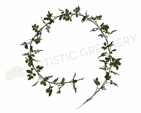 HP0063 Small Rose Leaves Garland 180cm Green summer vegetable seed  