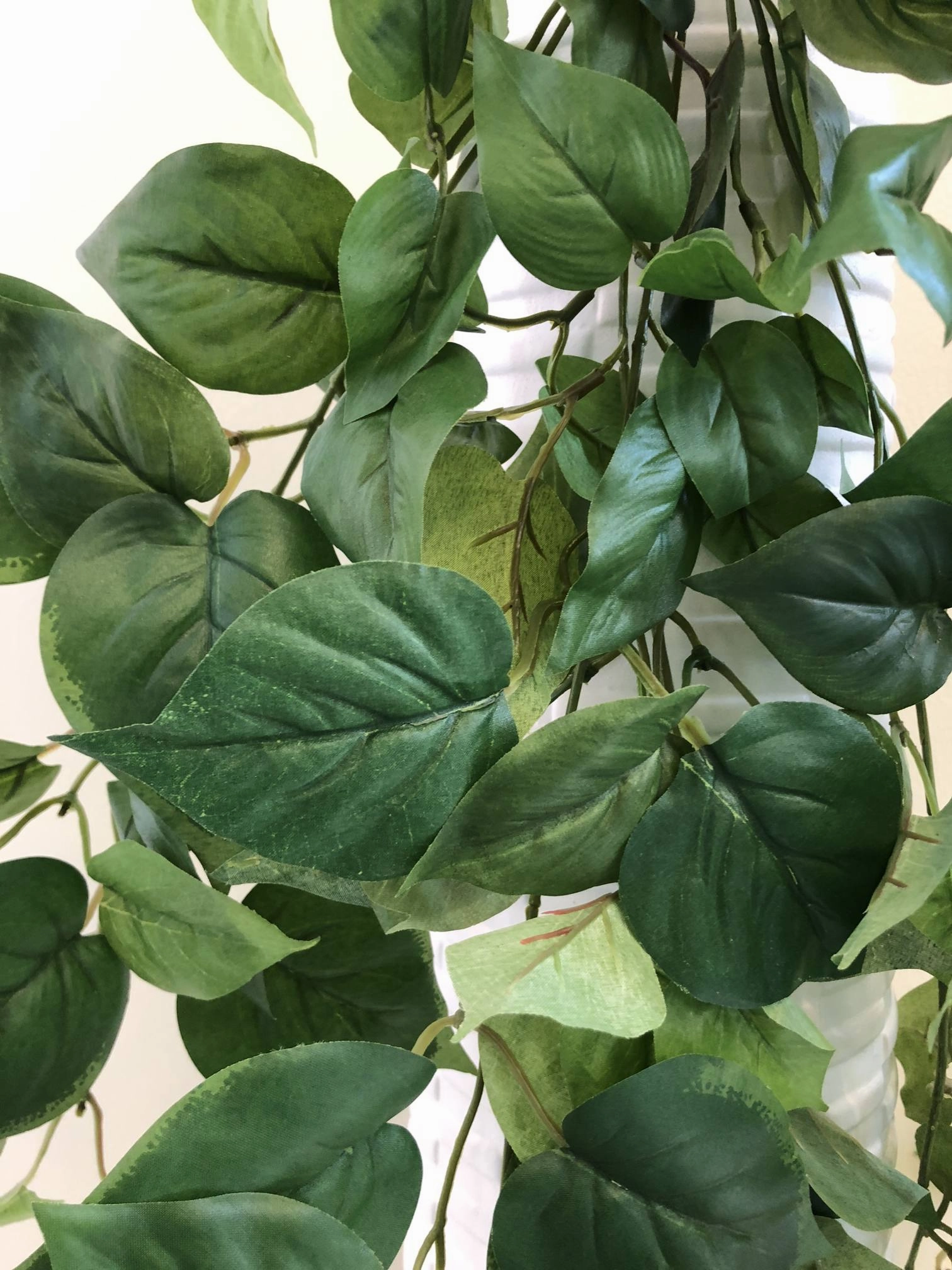 HP0067 Hanging Devil's Ivy (Epipremnum Aureum) 90cm 2 Styles