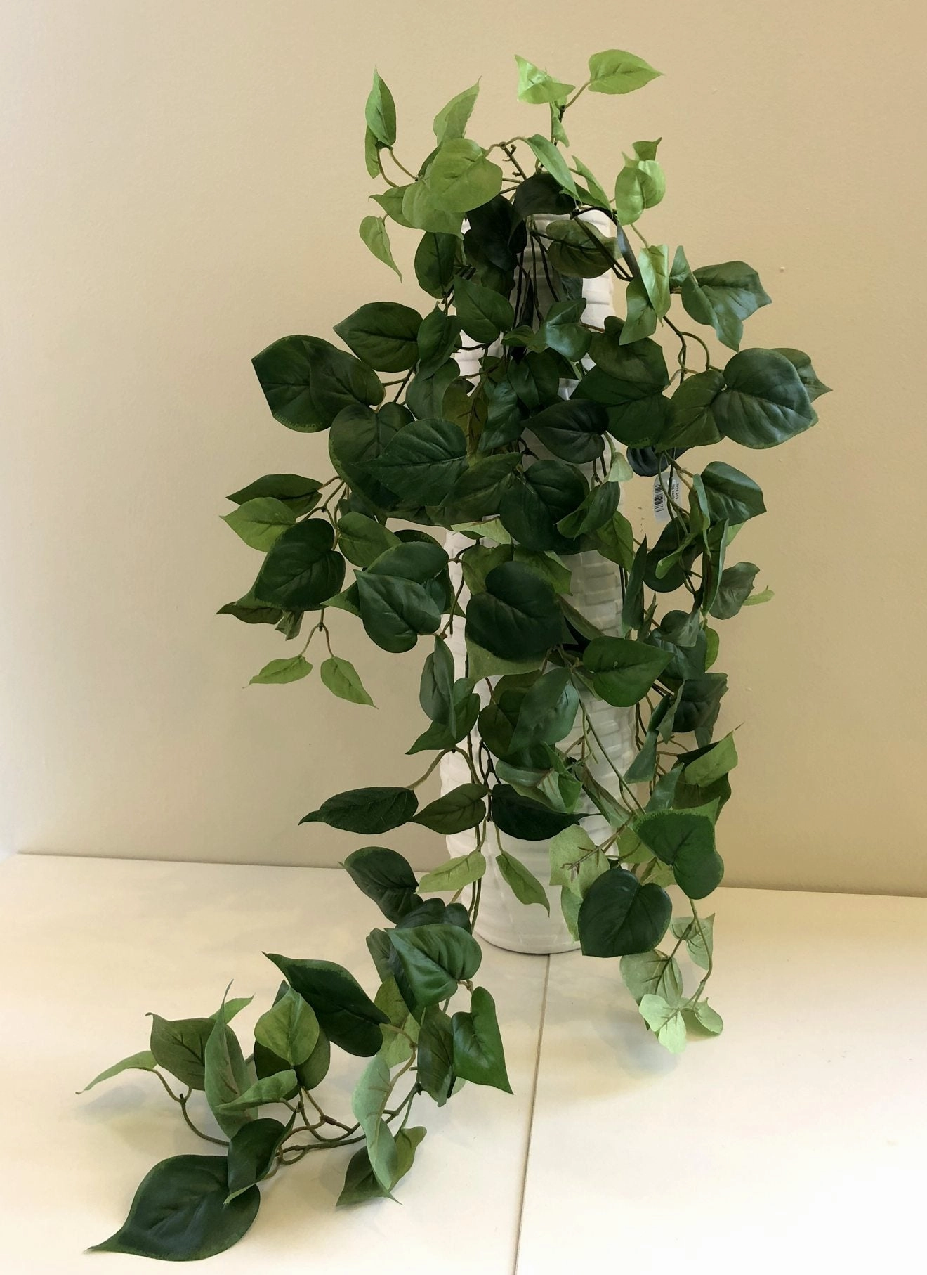 HP0067 Hanging Devil's Ivy (Epipremnum Aureum) 90cm 2 Styles