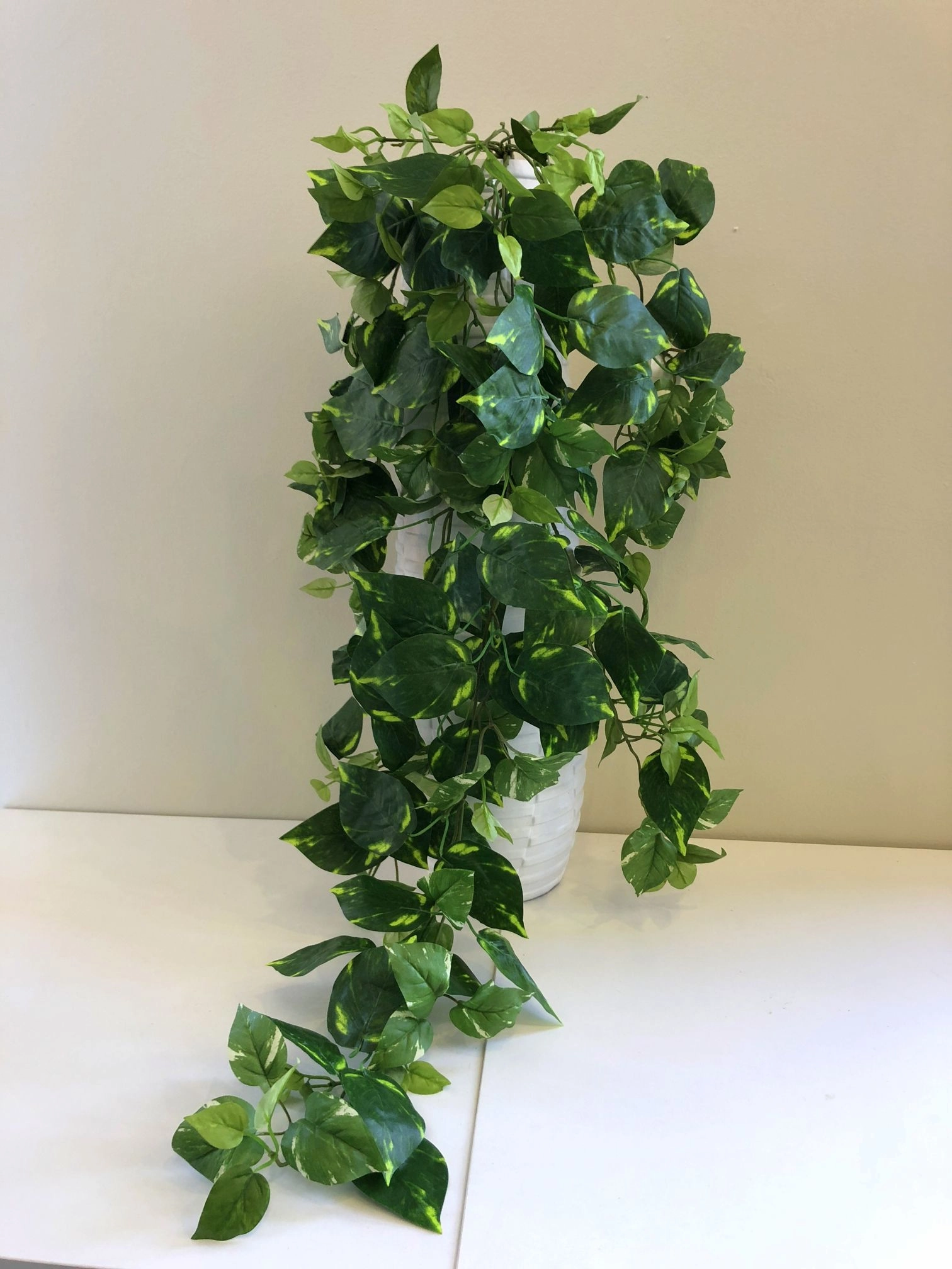 HP0067 Hanging Devil's Ivy (Epipremnum Aureum) 90cm 2 Styles