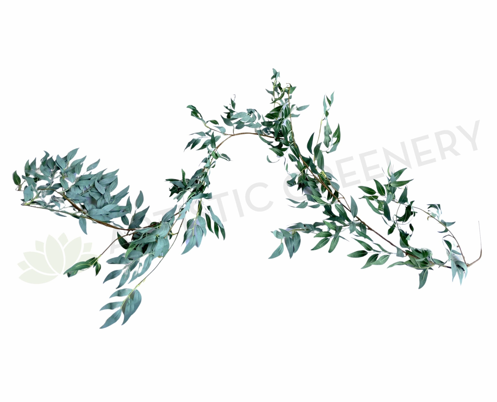 HP0070 Willow Garland 180cm Grey Green summer vegetable seed  
