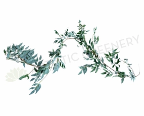 HP0070 Willow Garland 180cm Grey Green summer vegetable seed  
