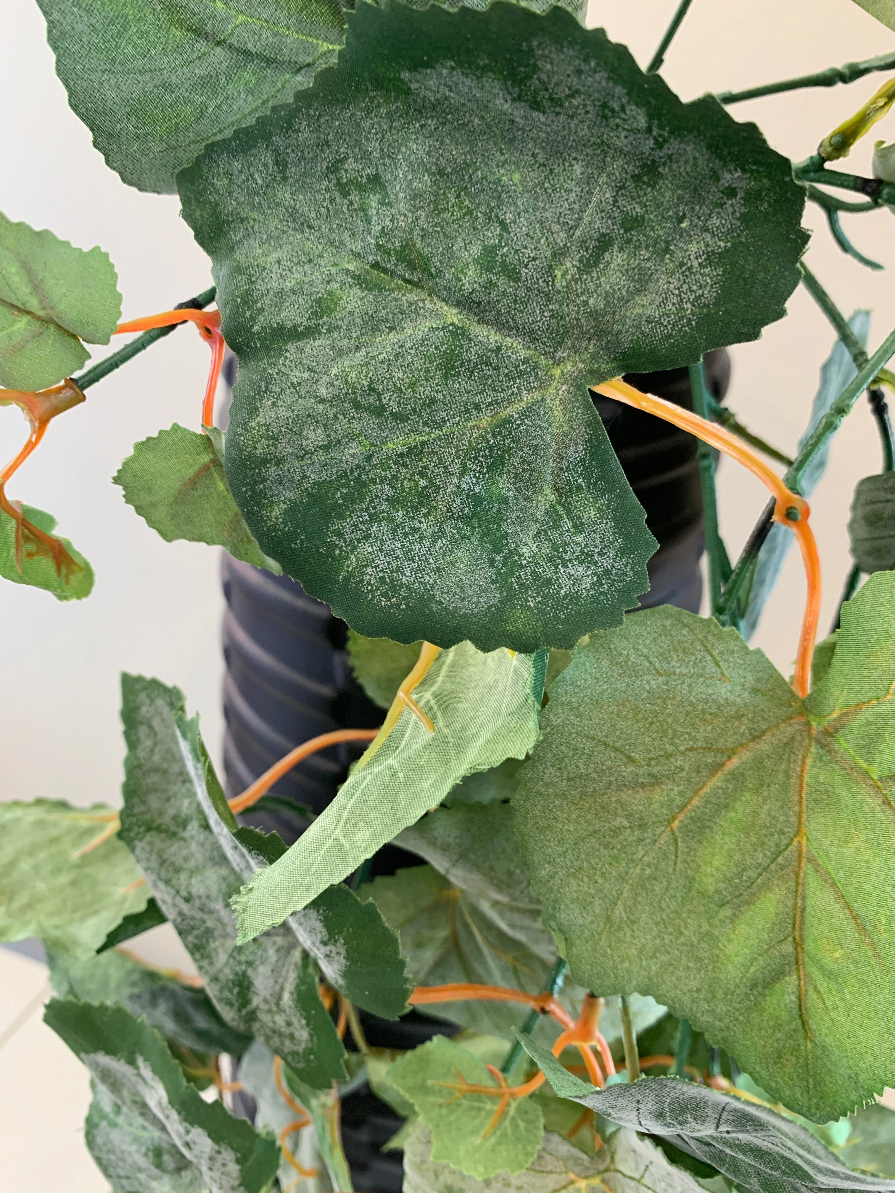 HP0072 Hanging Greenery 3 Styles Caladium/Maple/Vine (CLEARANCE)