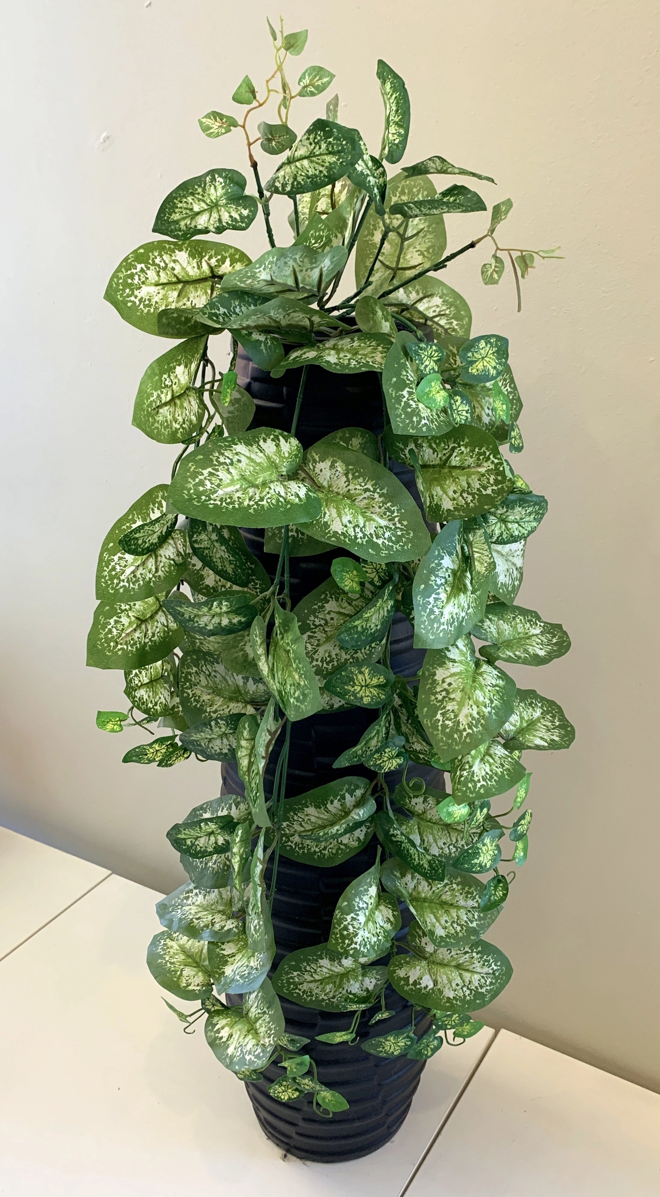 HP0072 Hanging Greenery 3 Styles Caladium/Maple/Vine (CLEARANCE)