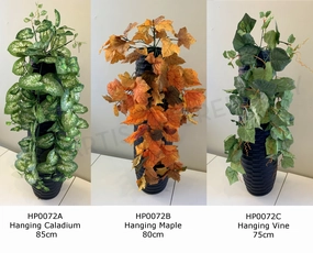 HP0072 Hanging Greenery 3 Styles Caladium/Maple/Vine (CLEARANCE) summer vegetable seed  