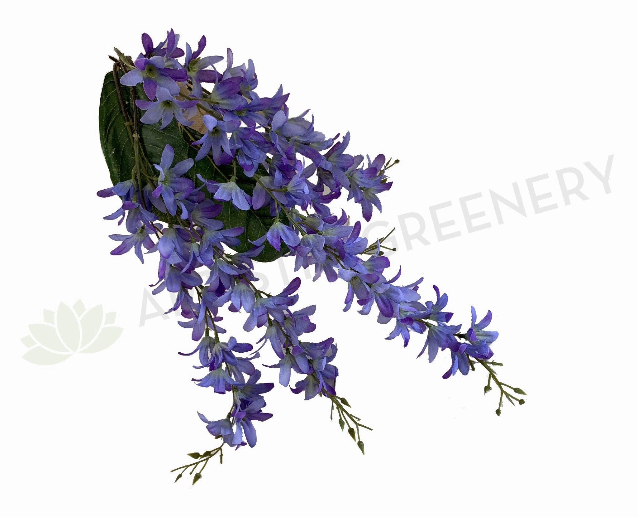 HP0073 Hanging Wisteria Bunch 68cm Purple summer vegetable seed  