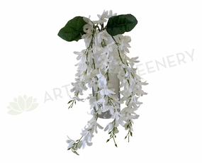 HP0073 Hanging Wisteria Bunch 68cm White summer vegetable seed  