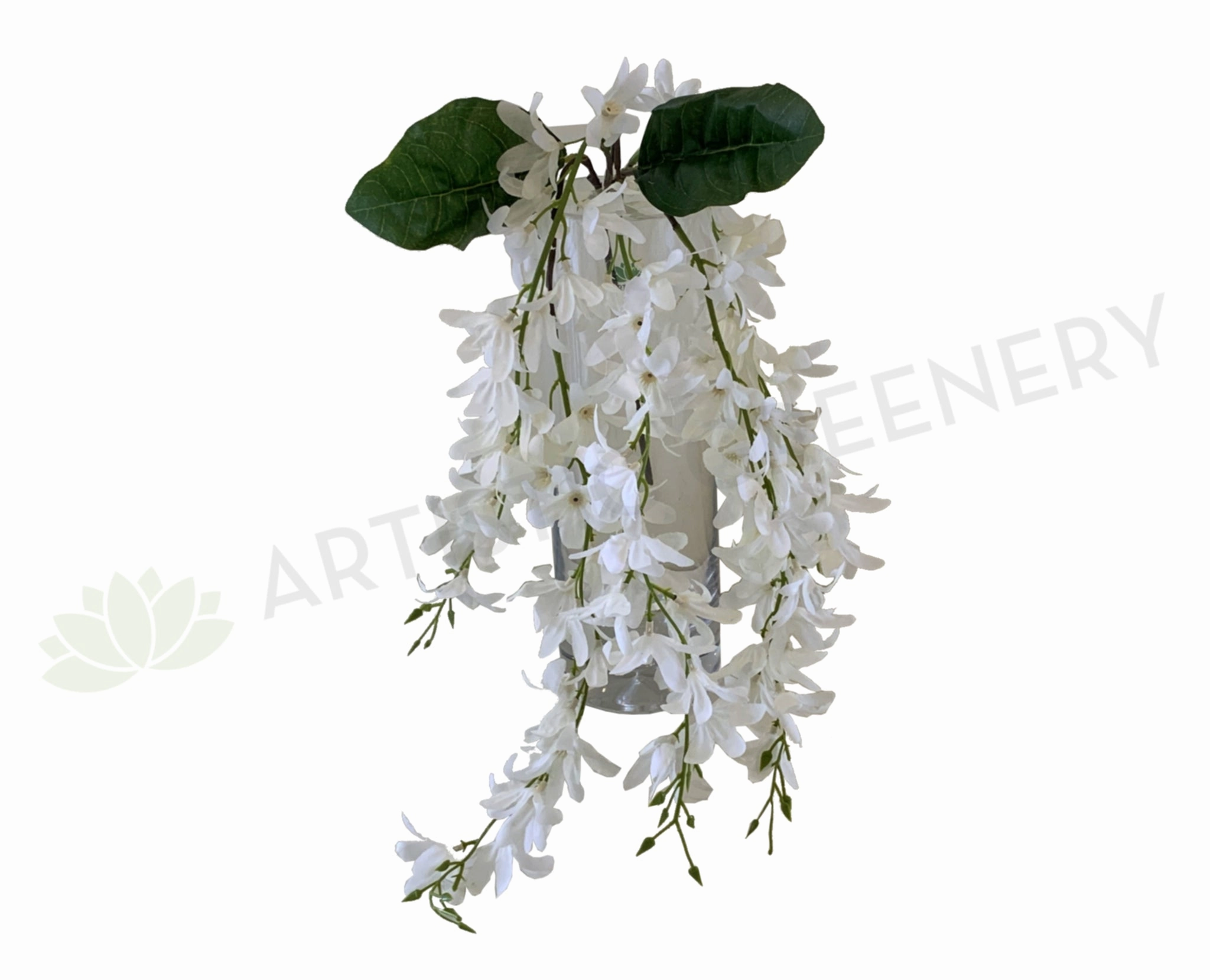 HP0073 Hanging Wisteria Bunch 68cm White summer vegetable seed  