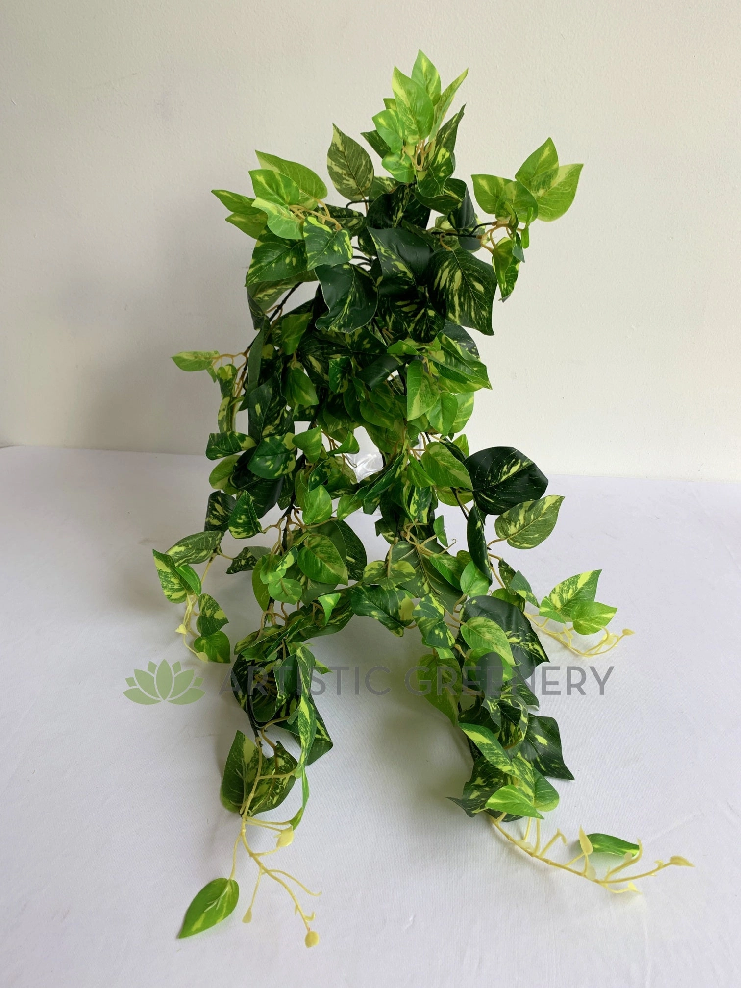 HP0075 Hanging Devil's Ivy (Epipremnum Aureum) 83cm