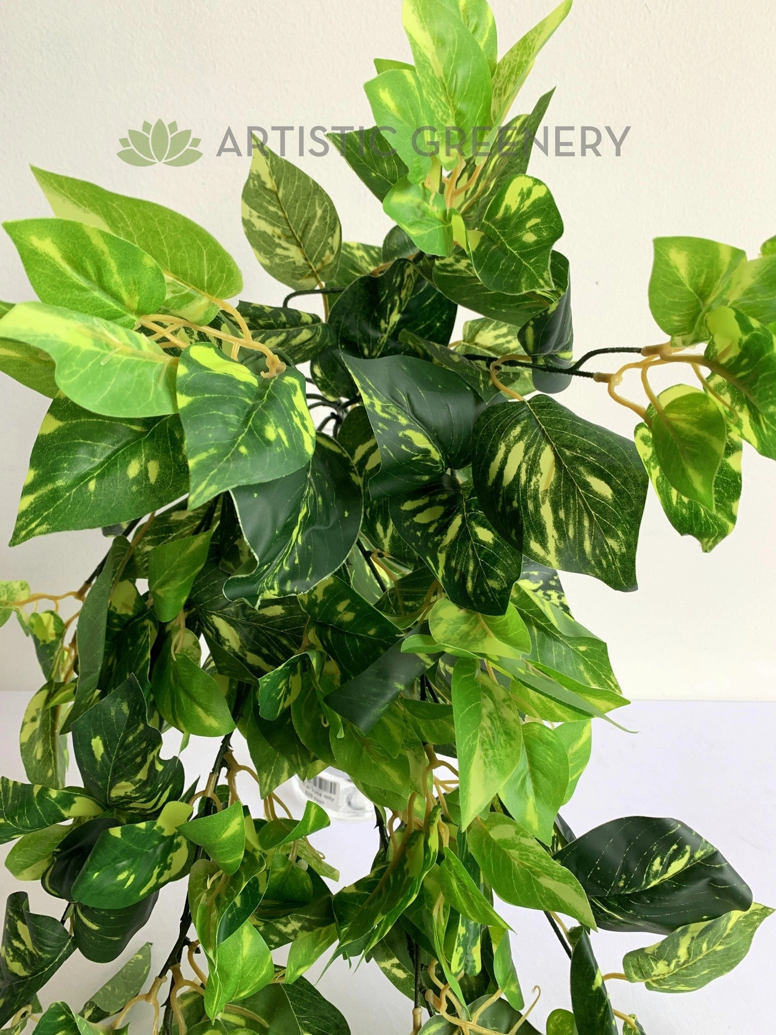 HP0075 Hanging Devil's Ivy (Epipremnum Aureum) 83cm