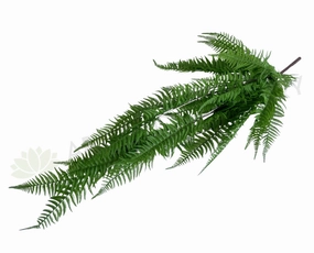 HP0076 Hanging Boston Fern 128cm xl flower pot  