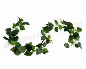 HP0078 Jade Pothos Vines (Garland) 170cm summer vegetable seed  
