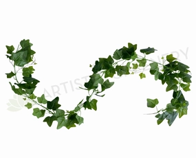HP0079 Green Ivy Garland (Vine) 170cm summer vegetable seed  