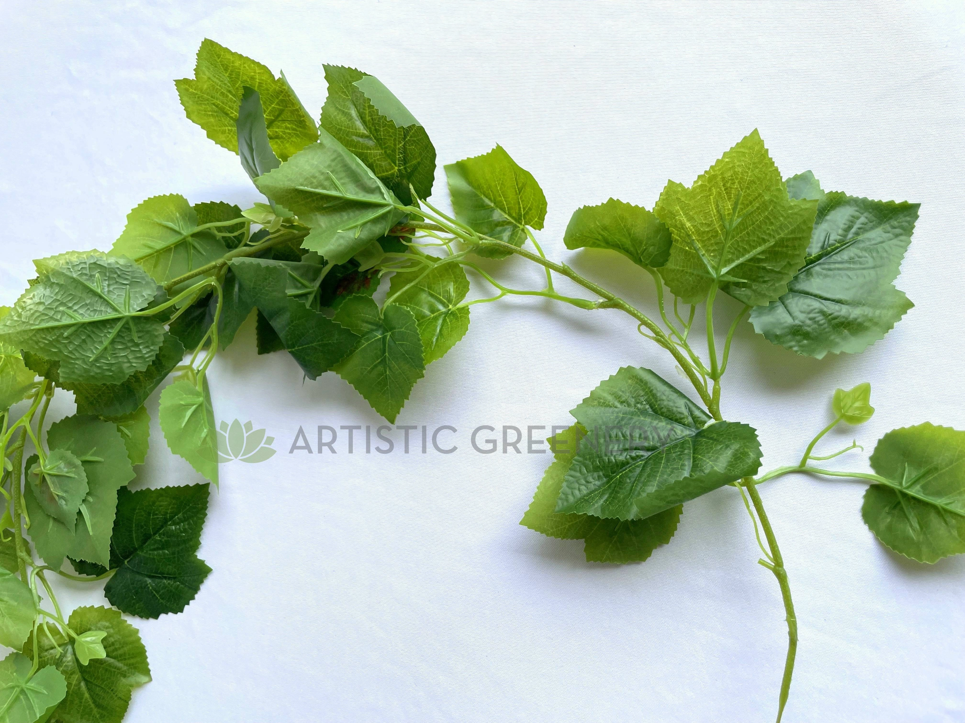 HP0080 Green Little Linden Garland / Grape Vine 170cm