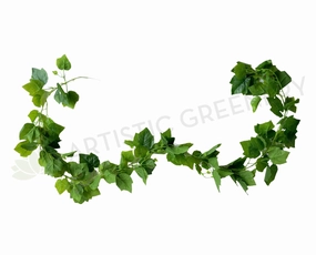 HP0080 Green Little Linden Garland / Grape Vine 170cm summer vegetable seed  