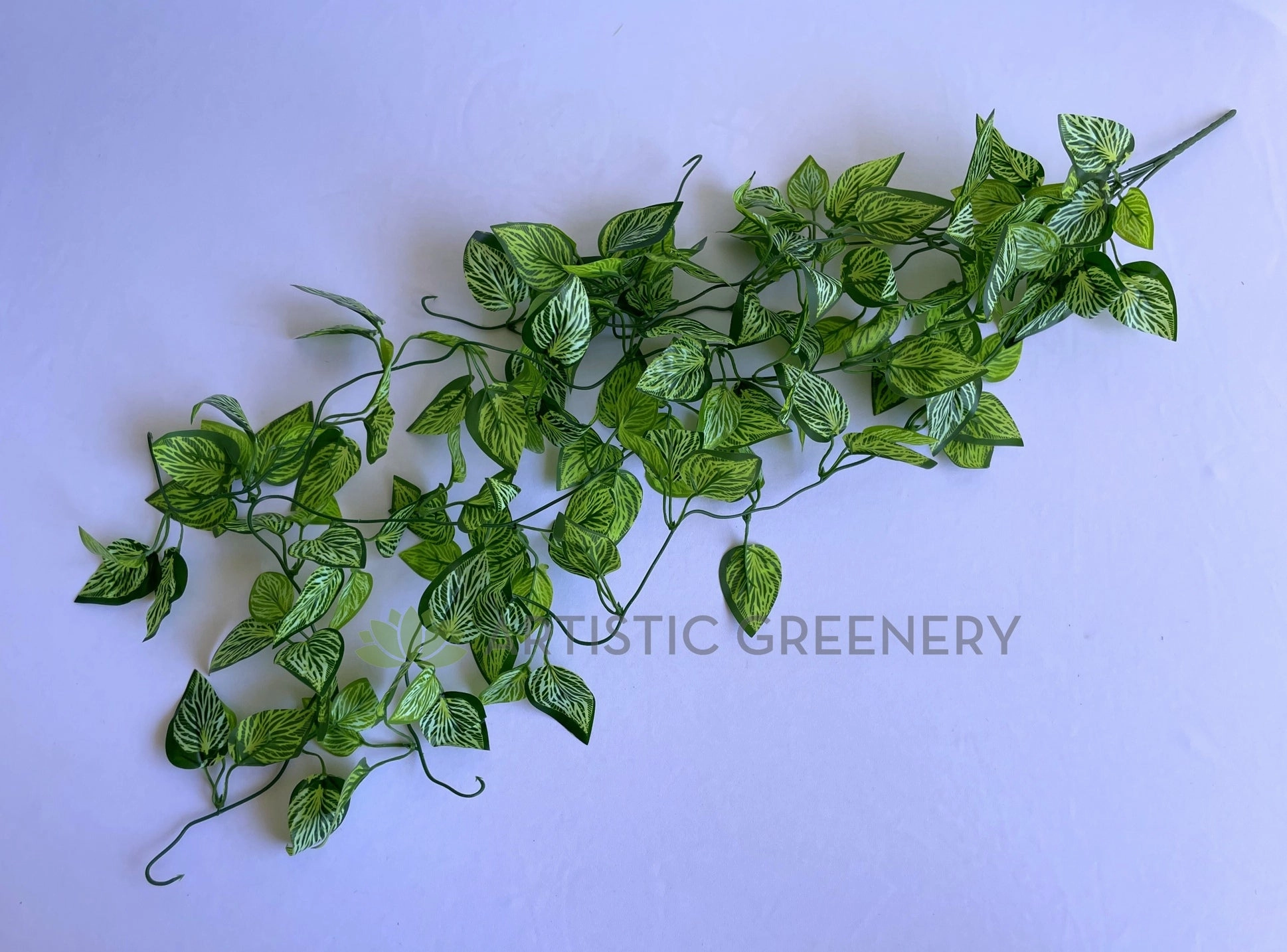HP0082 Hanging Varigated Pothos 90cm