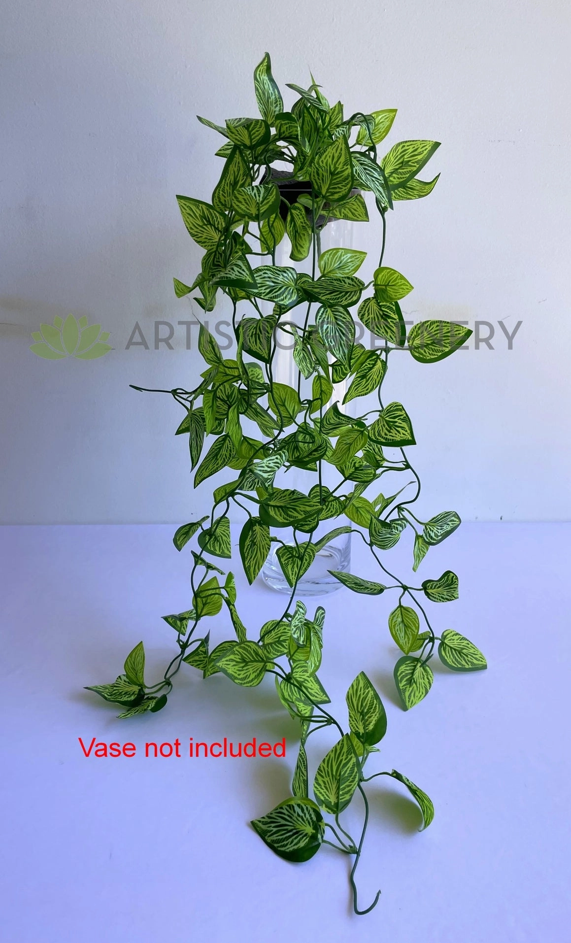HP0082 Hanging Varigated Pothos 90cm
