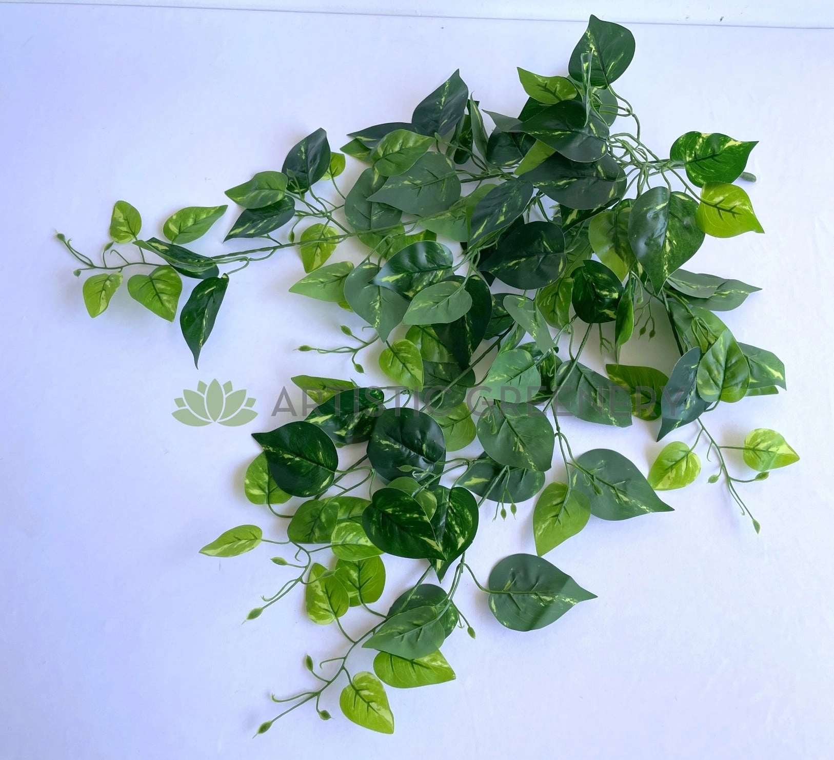 HP0085 Hanging Golden Pothos / Devil Ivy 80cm