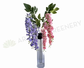 HP0087 Hanging Wisteria 110cm Pink / Lilac summer vegetable seed  