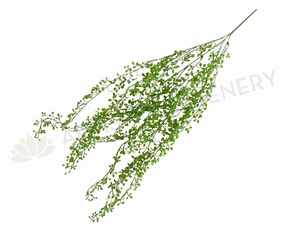 HP0088 Hanging Baby Tears 73cm Green summer vegetable seed  