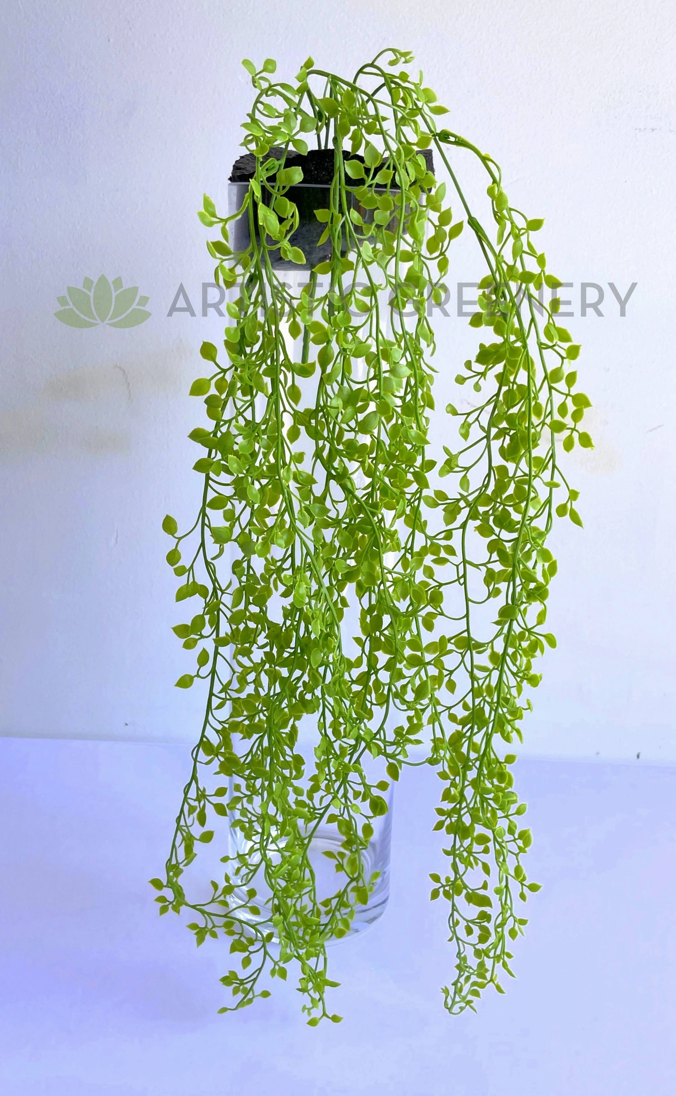 HP0088 Hanging Baby Tears 73cm Green