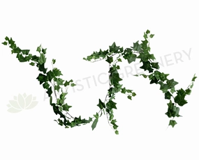 HP0090 Ivy Garland 180cm Green summer vegetable seed  