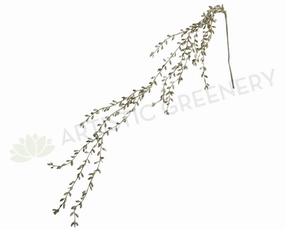 HP0091 String of Teardrops 116cm Cream summer vegetable seed  