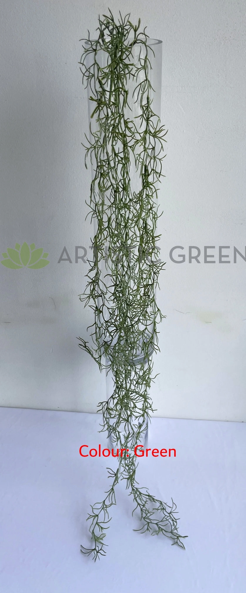 HP0094 Hanging Fish Hook / Air Plant / String of Hooks 120cm 2 Styles