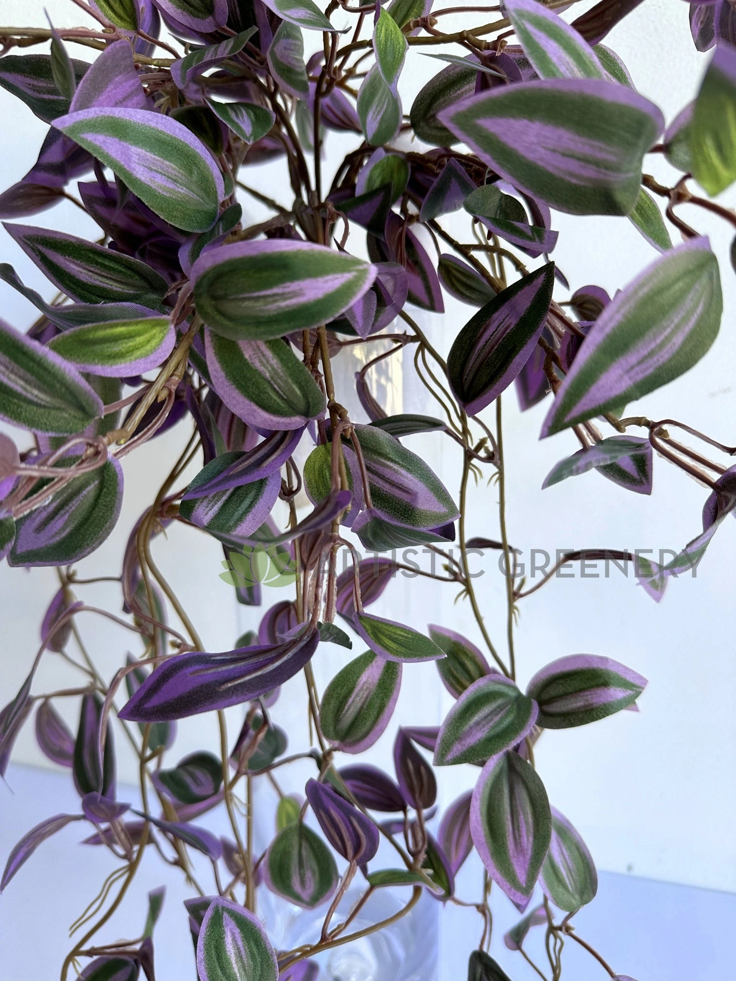 HP0097 Hanging Spiderwort / Tradescantia / Wandering Jew Plant 63cm 2 styles