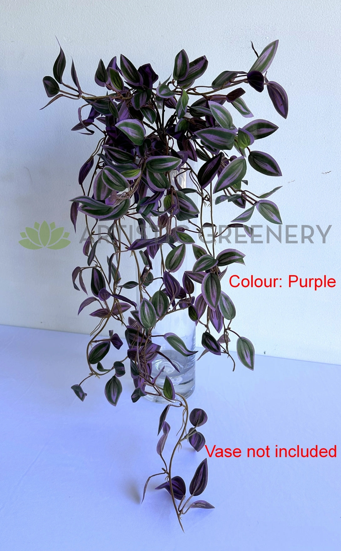 HP0097 Hanging Spiderwort / Tradescantia / Wandering Jew Plant 63cm 2 styles