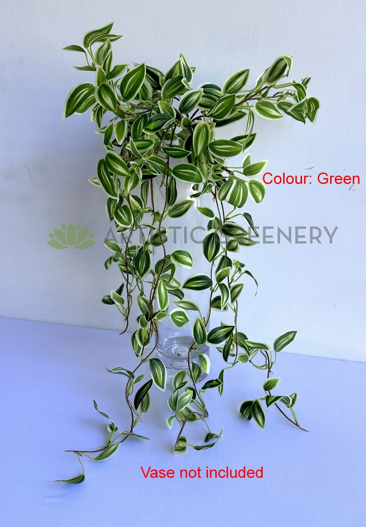HP0097 Hanging Spiderwort / Tradescantia / Wandering Jew Plant 63cm 2 styles