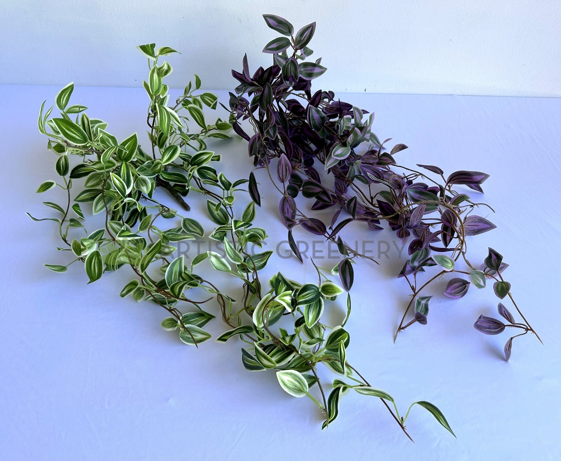 HP0097 Hanging Spiderwort / Tradescantia / Wandering Jew Plant 63cm 2 styles