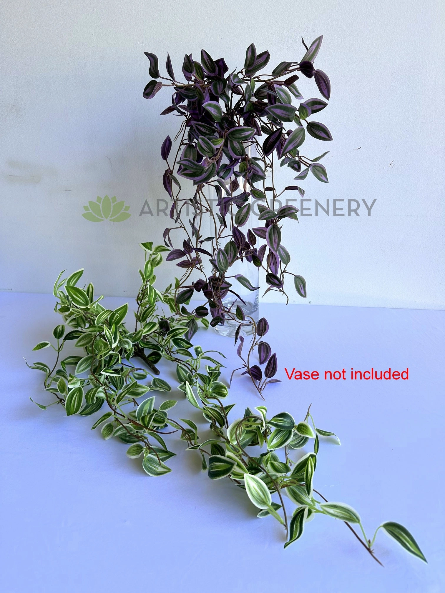 HP0097 Hanging Spiderwort / Tradescantia / Wandering Jew Plant 63cm 2 styles