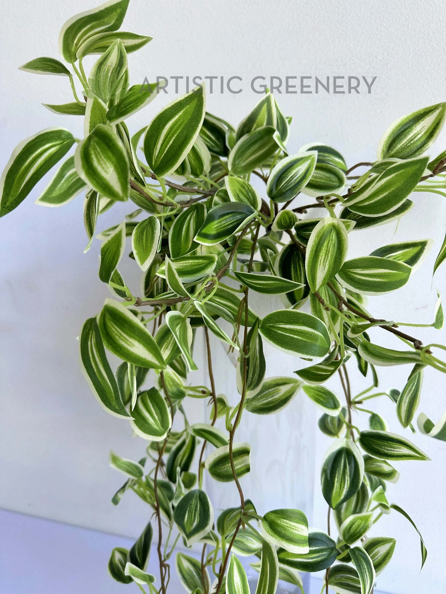 HP0097 Hanging Spiderwort / Tradescantia / Wandering Jew Plant 63cm 2 styles