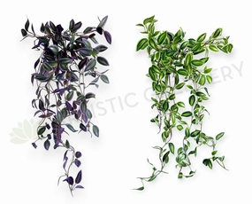 HP0097 Hanging Spiderwort / Tradescantia / Wandering Jew Plant 63cm 2 styles xl flower pot  
