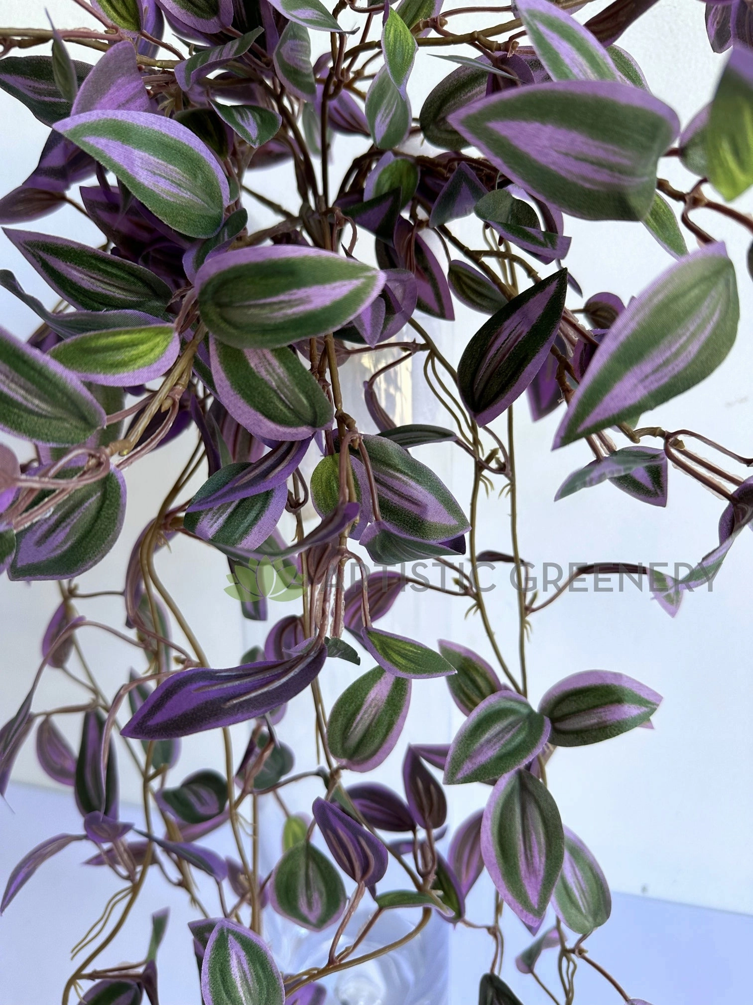 HP0097 Hanging Spiderwort / Tradescantia / Wandering Jew Plant 63cm 2 styles