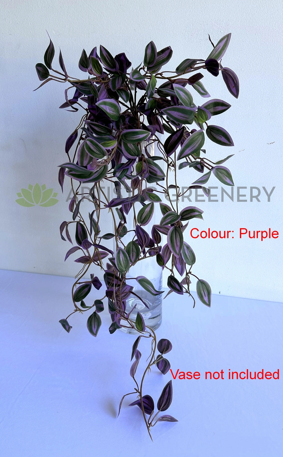 HP0097 Hanging Spiderwort / Tradescantia / Wandering Jew Plant 63cm 2 styles
