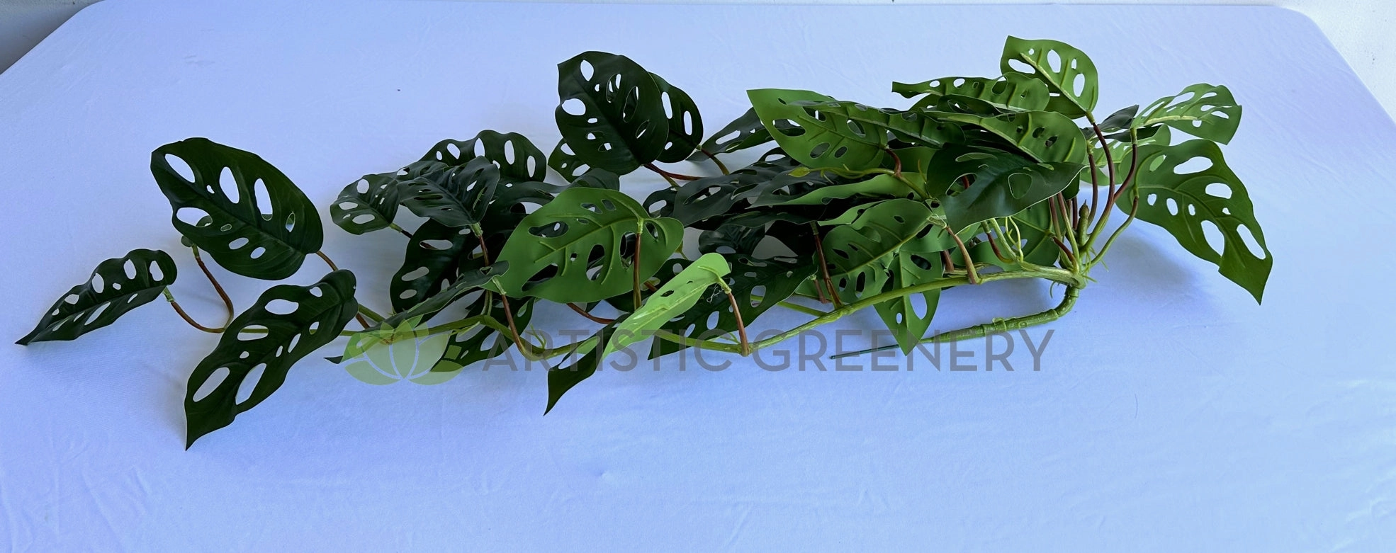 HP0098L Hanging Swiss Cheese Plant (Large) 95cm