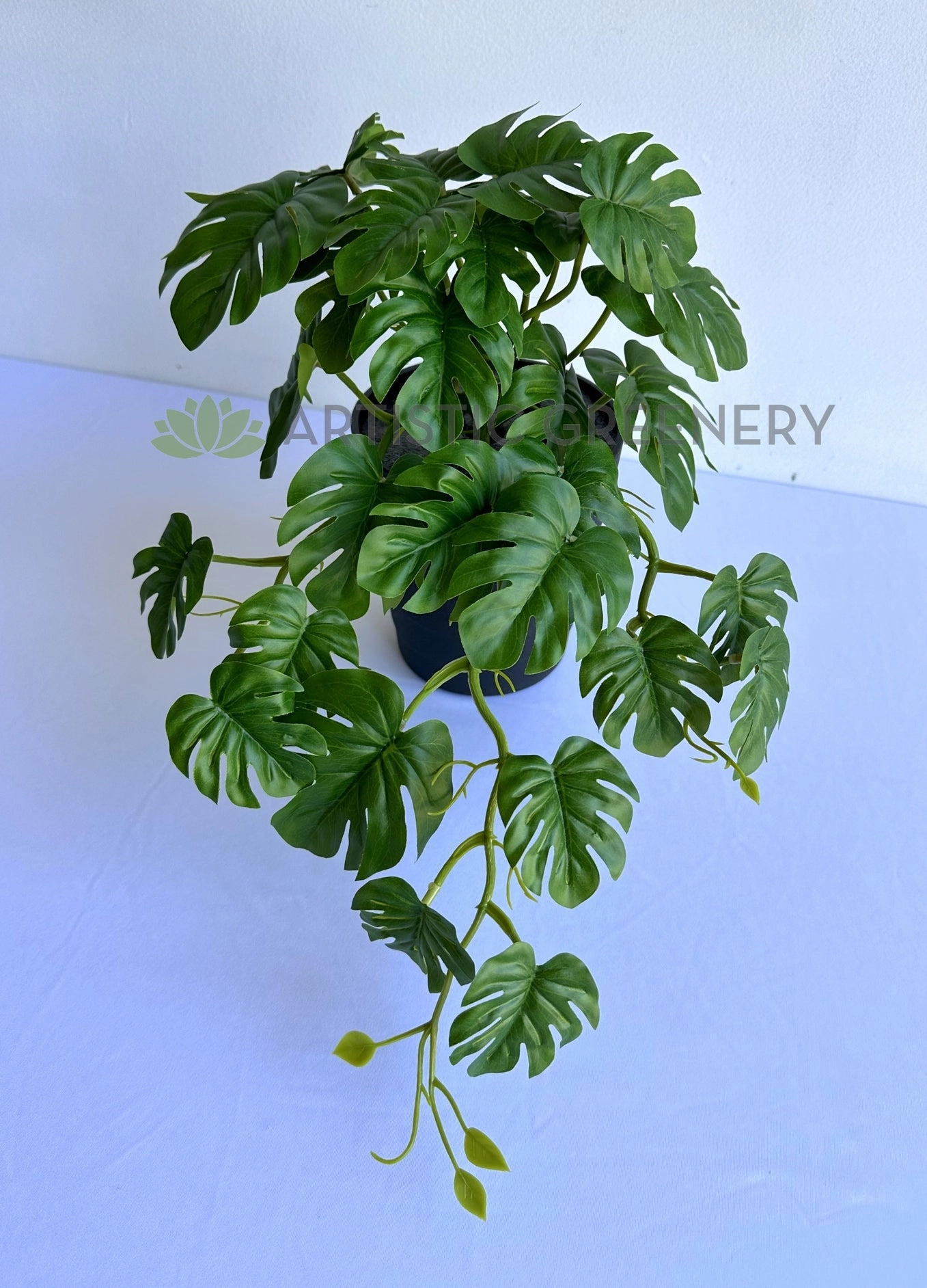 HP0100 Hanging Monstera Plant 46cm