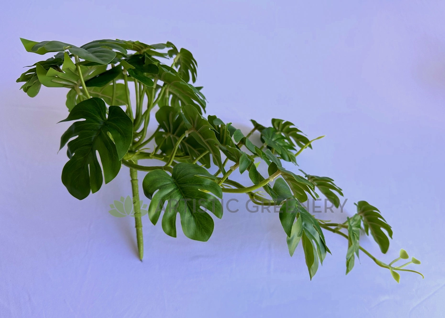 HP0100 Hanging Monstera Plant 46cm