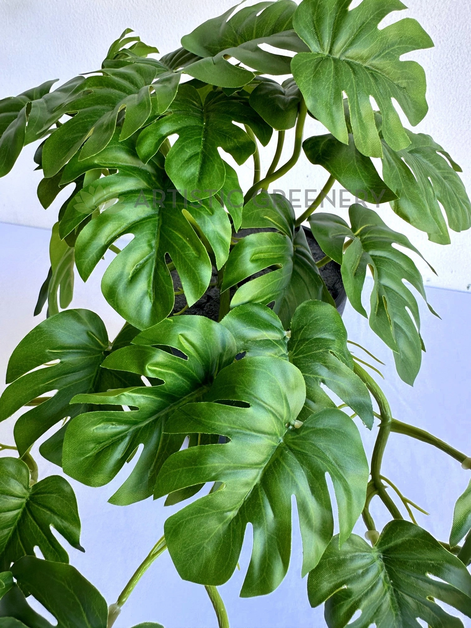 HP0100 Hanging Monstera Plant 46cm
