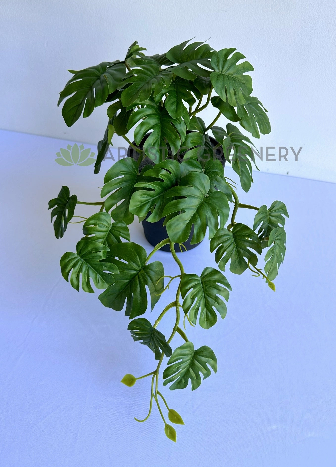 HP0100 Hanging Monstera Plant 46cm