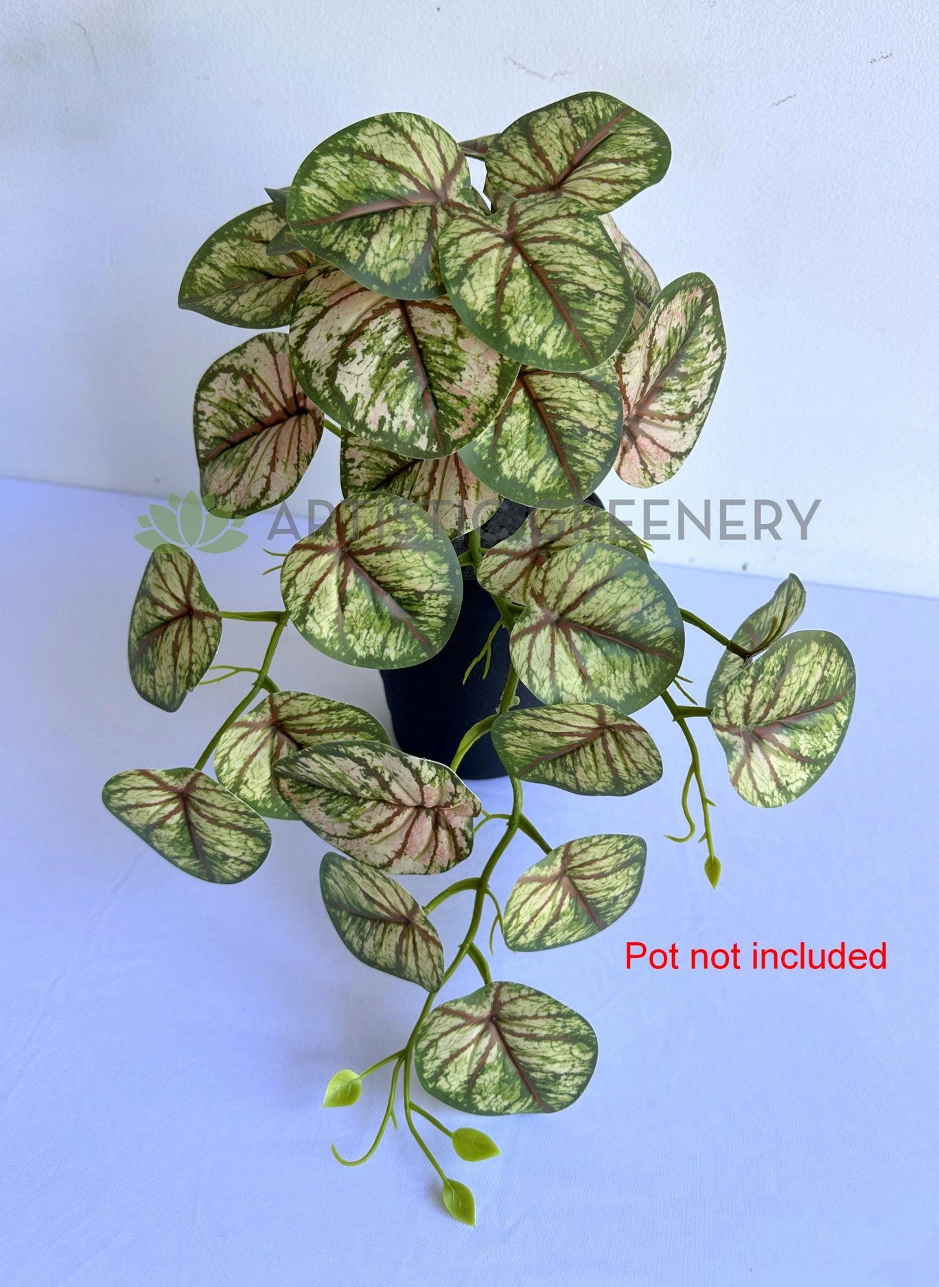 HP0101 Hanging Caladium Plant 46cm (2 Styles Red / White)